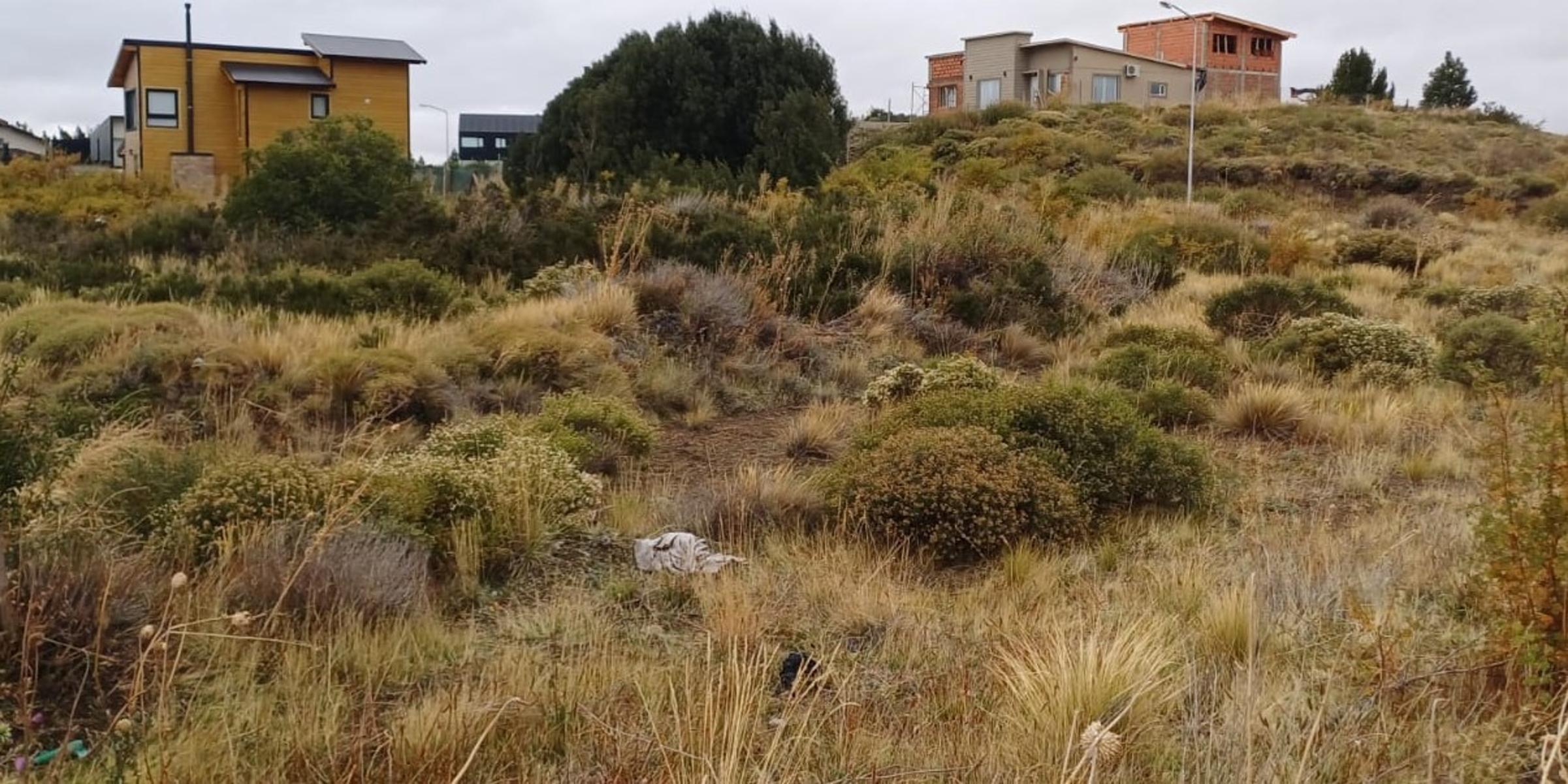 Terreno en Los Coirones - 4