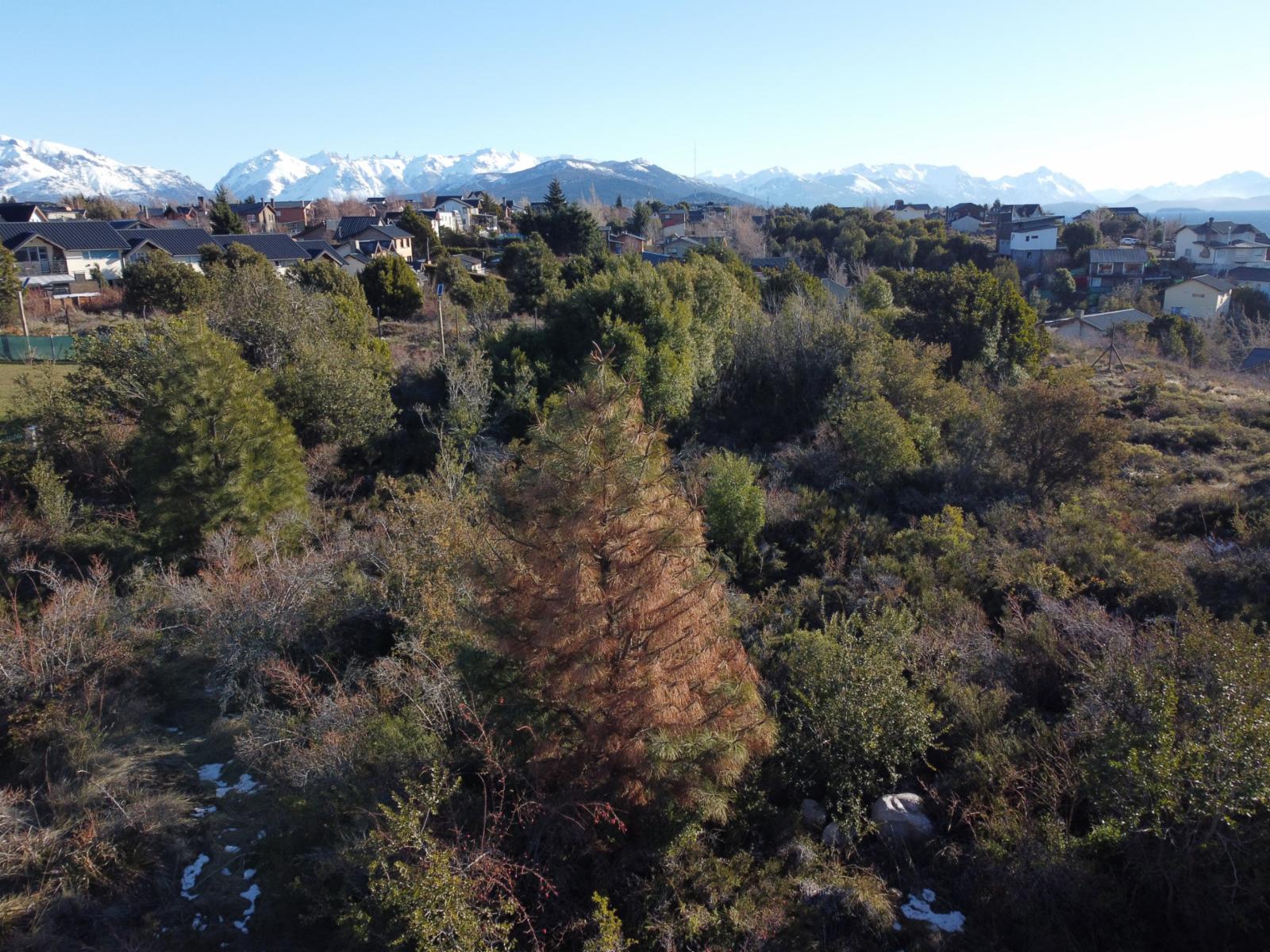 Terreno en B° Solares 1 - 8