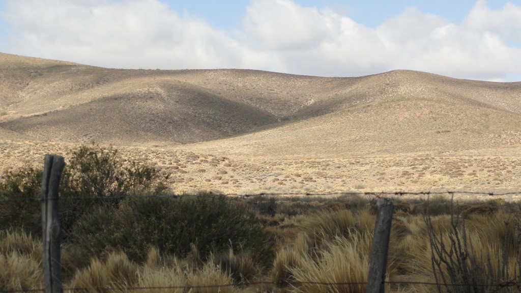 Campo en venta en Pichileufu - 1