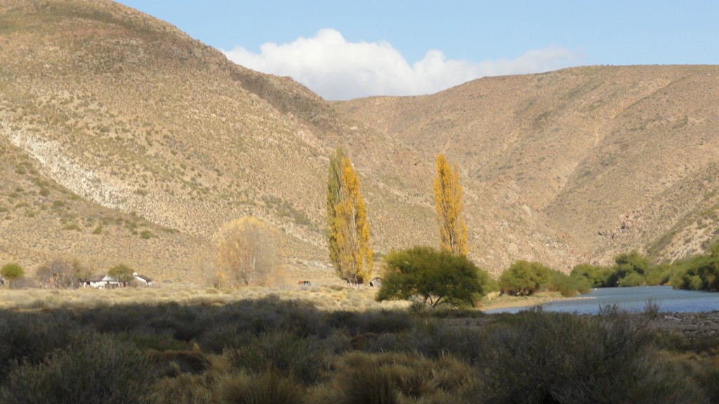 Campo en venta en Pichileufu - 2
