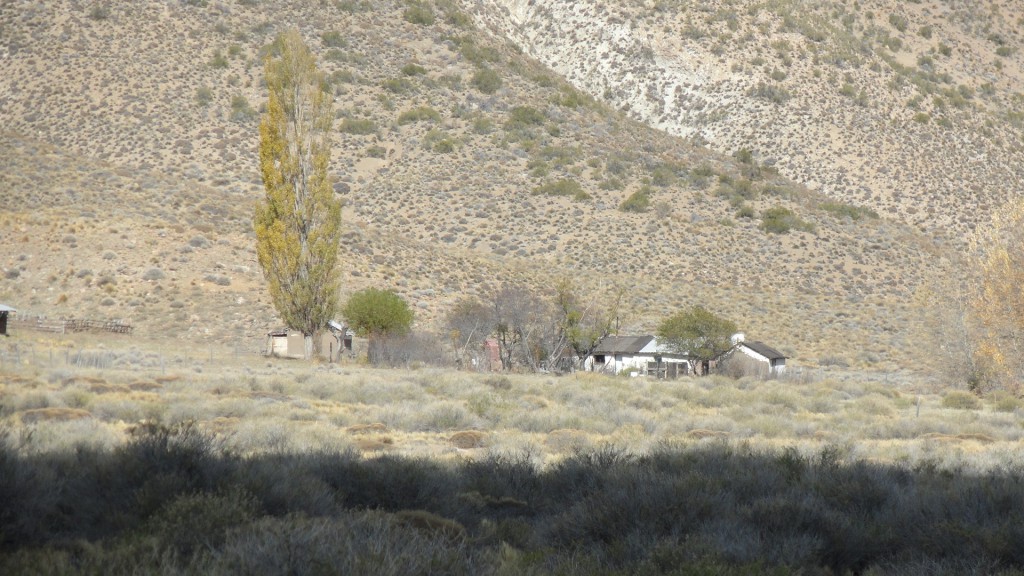 Campo en venta en Pichileufu - 3