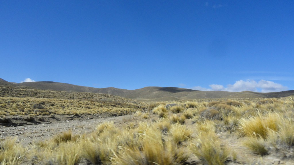 Campo en venta en Pichileufu - 4