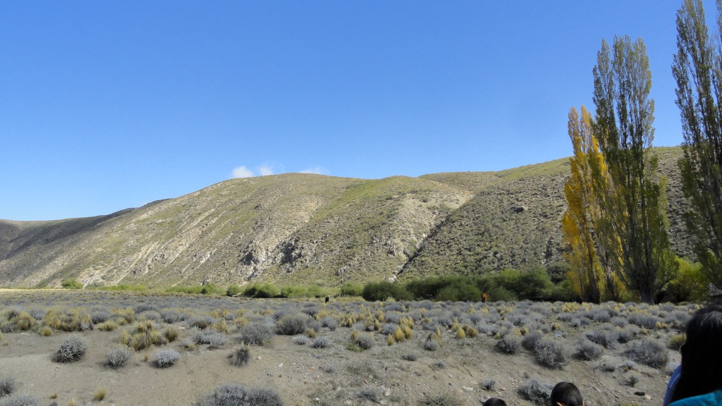Campo en venta en Pichileufu - 5