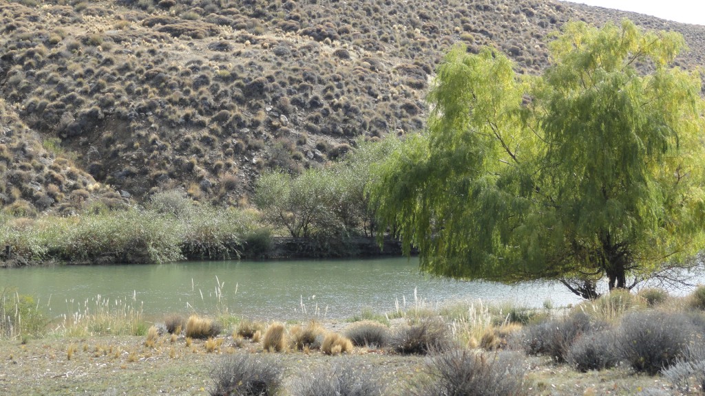 Campo en venta en Pichileufu - 7