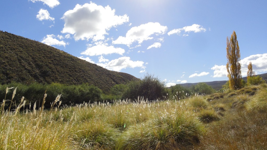 Campo en venta en Pichileufu - 9