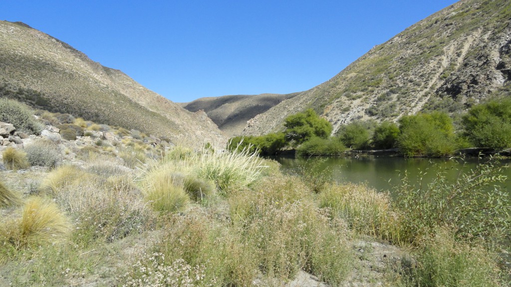 Campo en venta en Pichileufu - 11