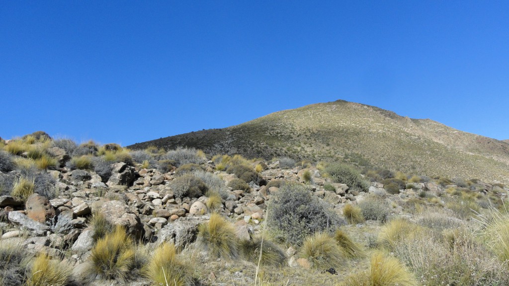 Campo en venta en Pichileufu - 12
