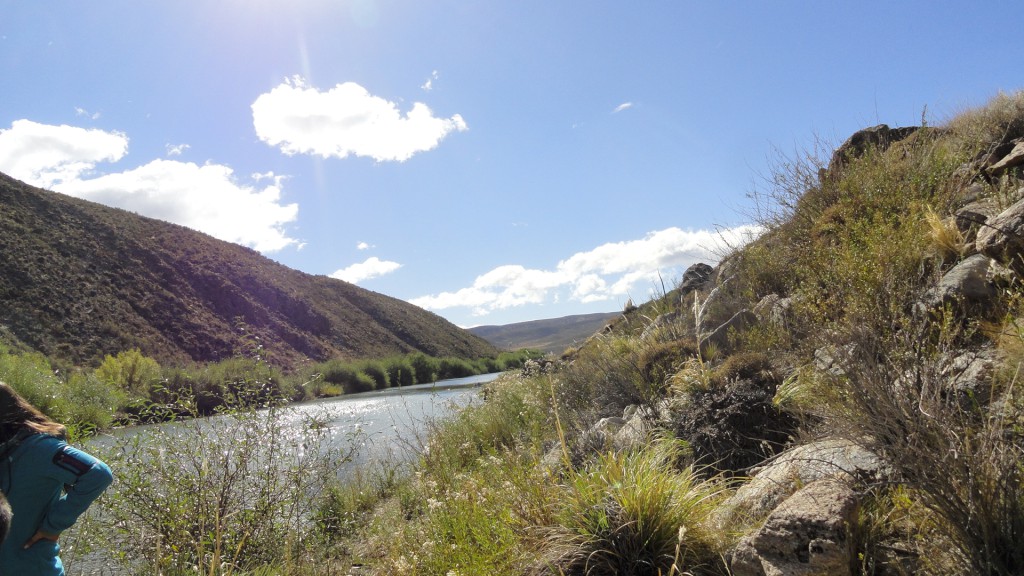 Campo en venta en Pichileufu - 14