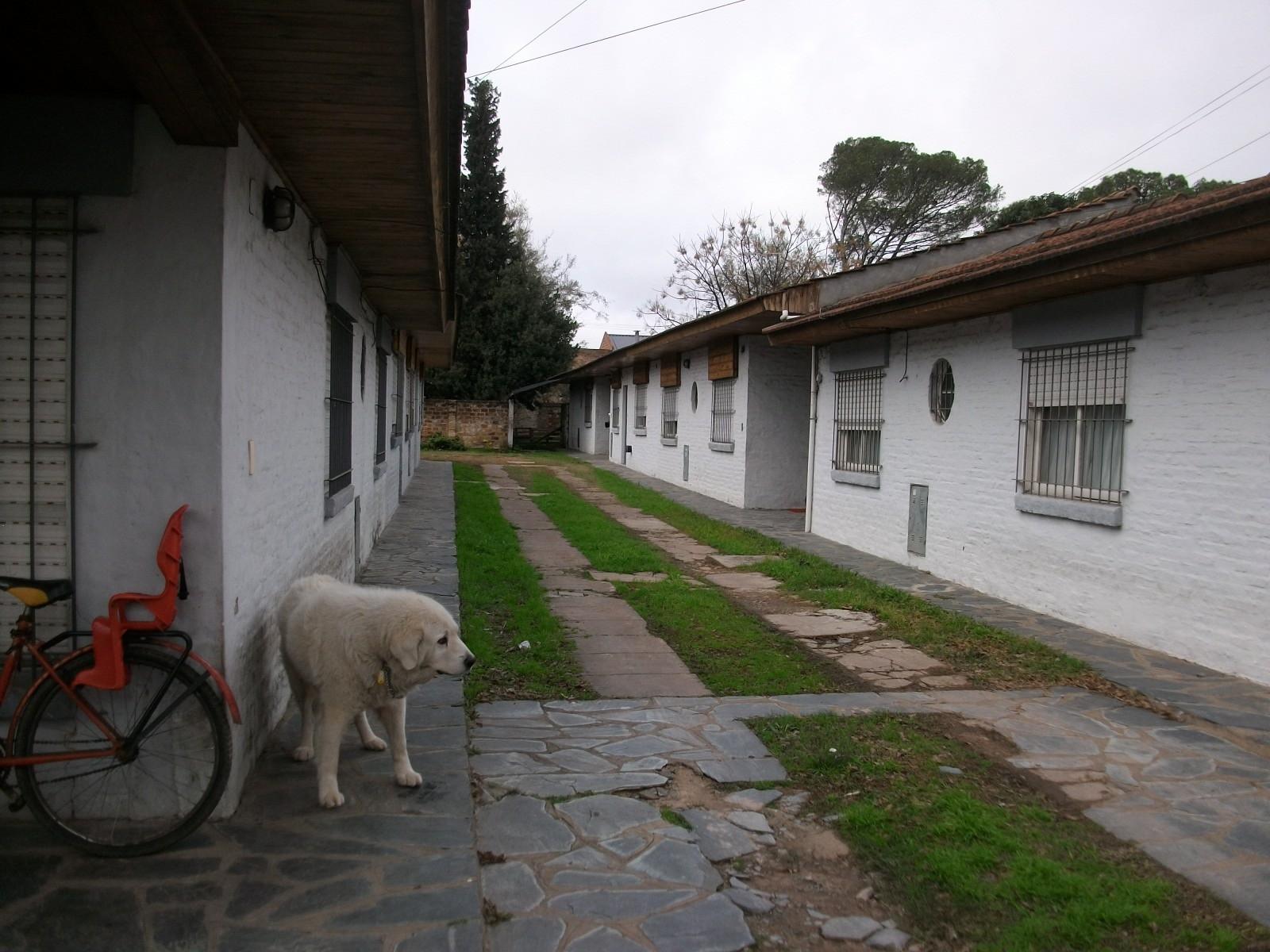 DEPARTAMENTO 3 AMBIENTES EN PH - PLANTA BAJA - ESTACIONAMIENTO - APTO A CRÉDITO - LUIS GUILLÓN — foto 10