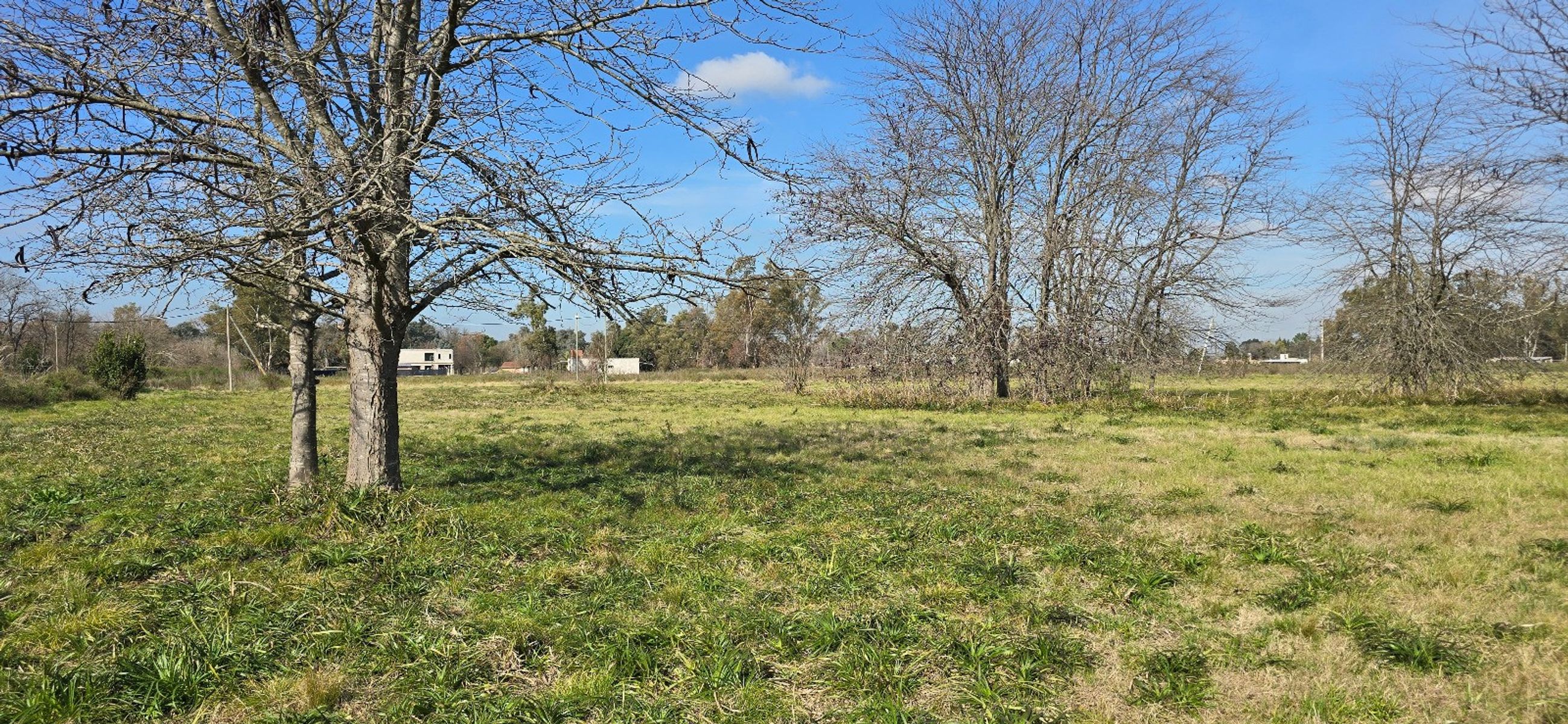 VENTA DE LOTE DE 1425 M² - CAÑUELAS — foto 5