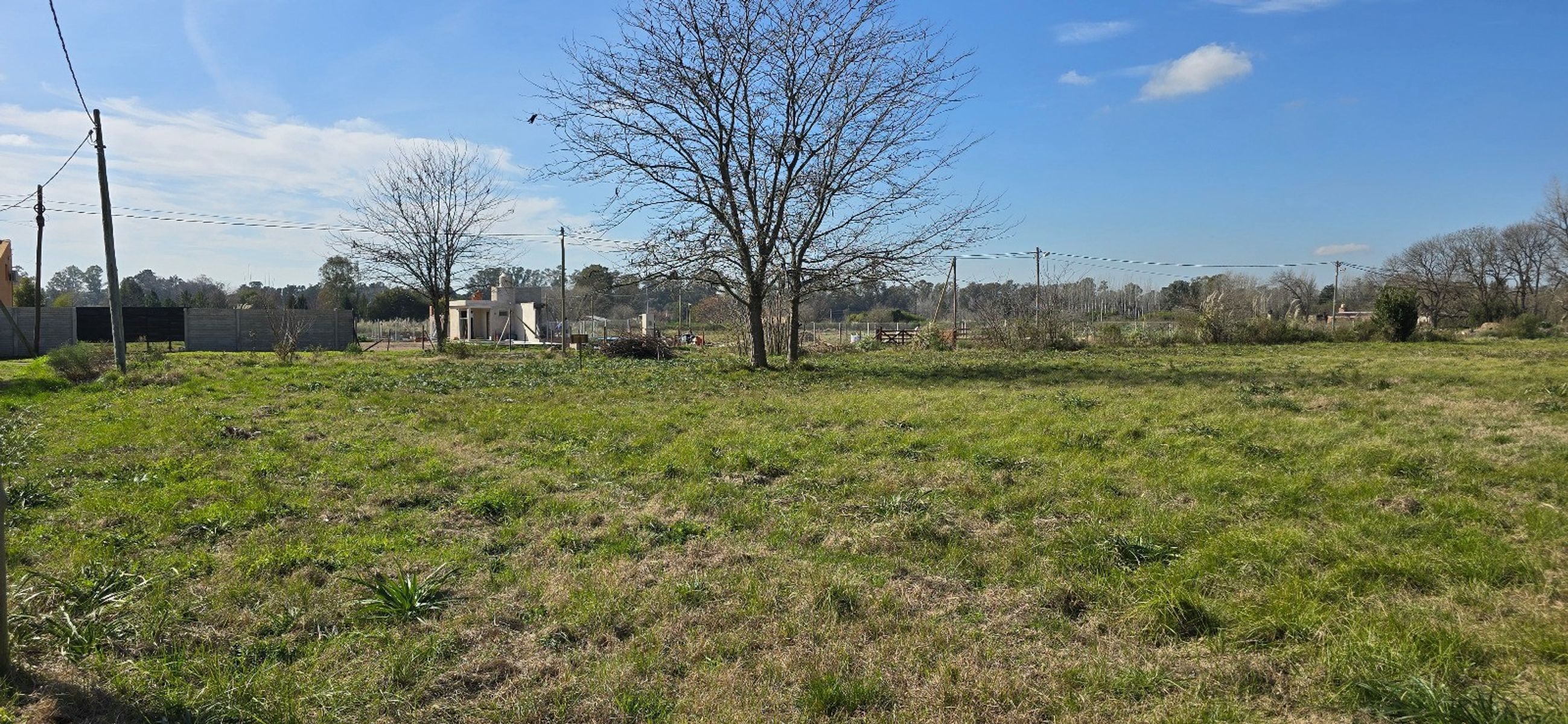 VENTA DE LOTE DE 1425 M² - CAÑUELAS — foto 6