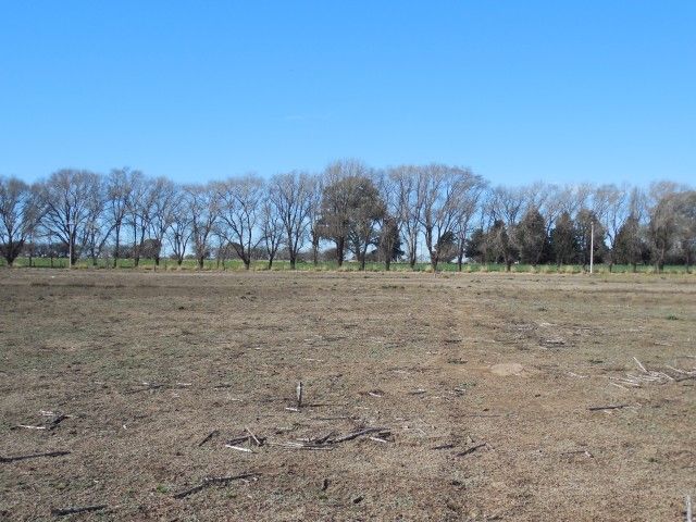 Loteo en Ataliva Roca - 3