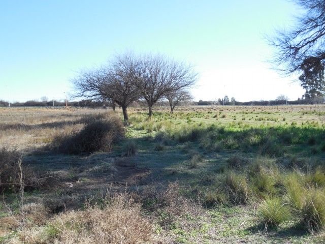 Loteo en Ataliva Roca - 4