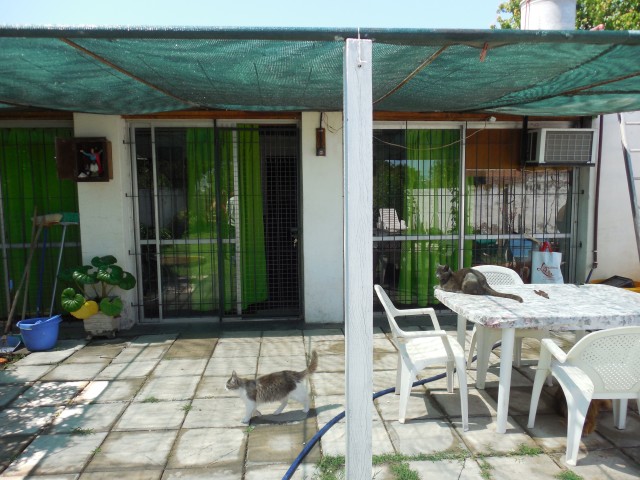 Sobre Pasteur - 12