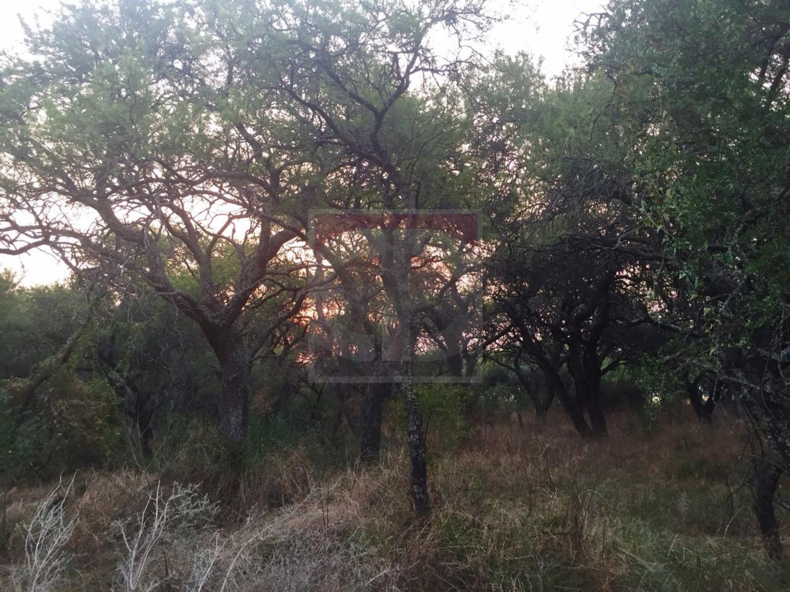 Venta lote de 2,5 hectáreas en Toay — foto 7