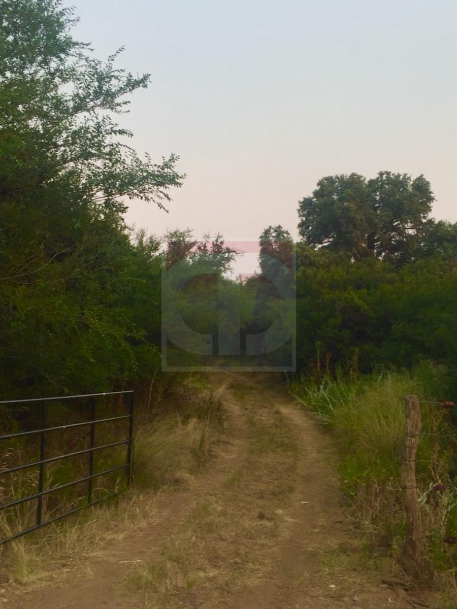 Venta lote de 2,5 hectáreas en Toay — foto 8