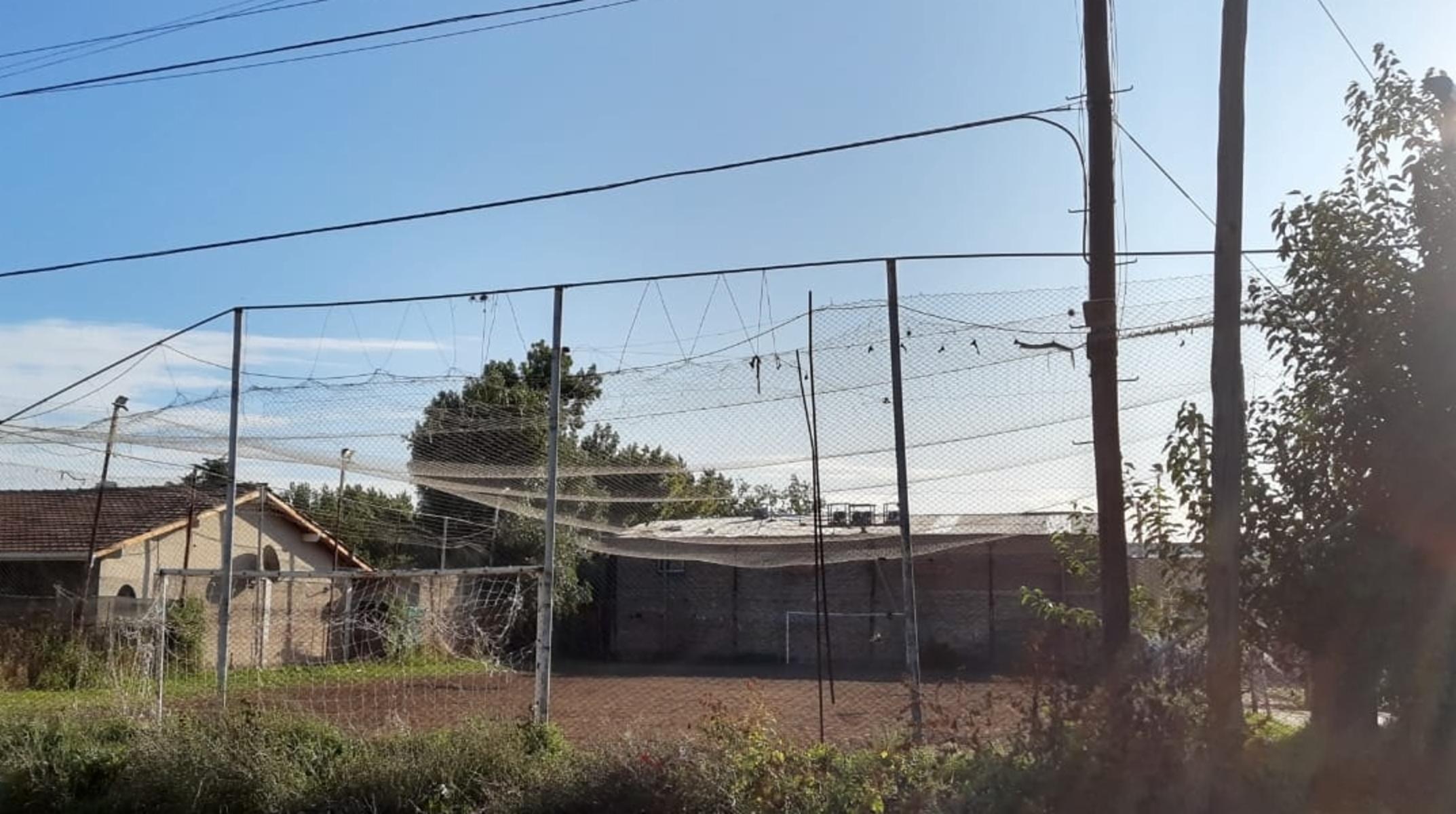Venta de importante lote en Luis Guillón — foto 2