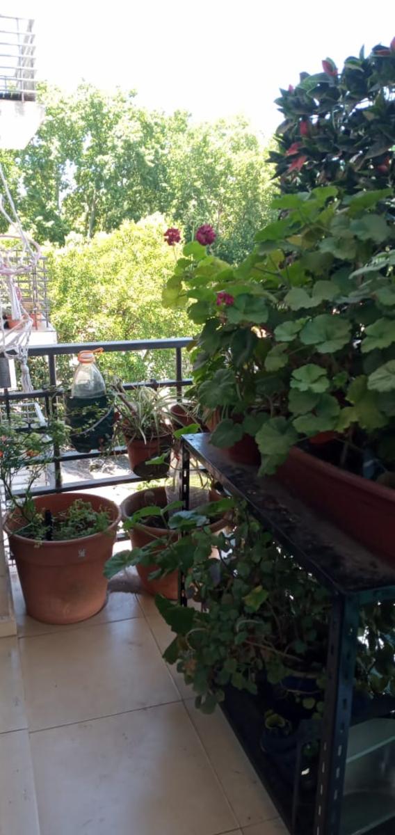 Venta de departamento de dos ambientes en Adrogué — foto 9