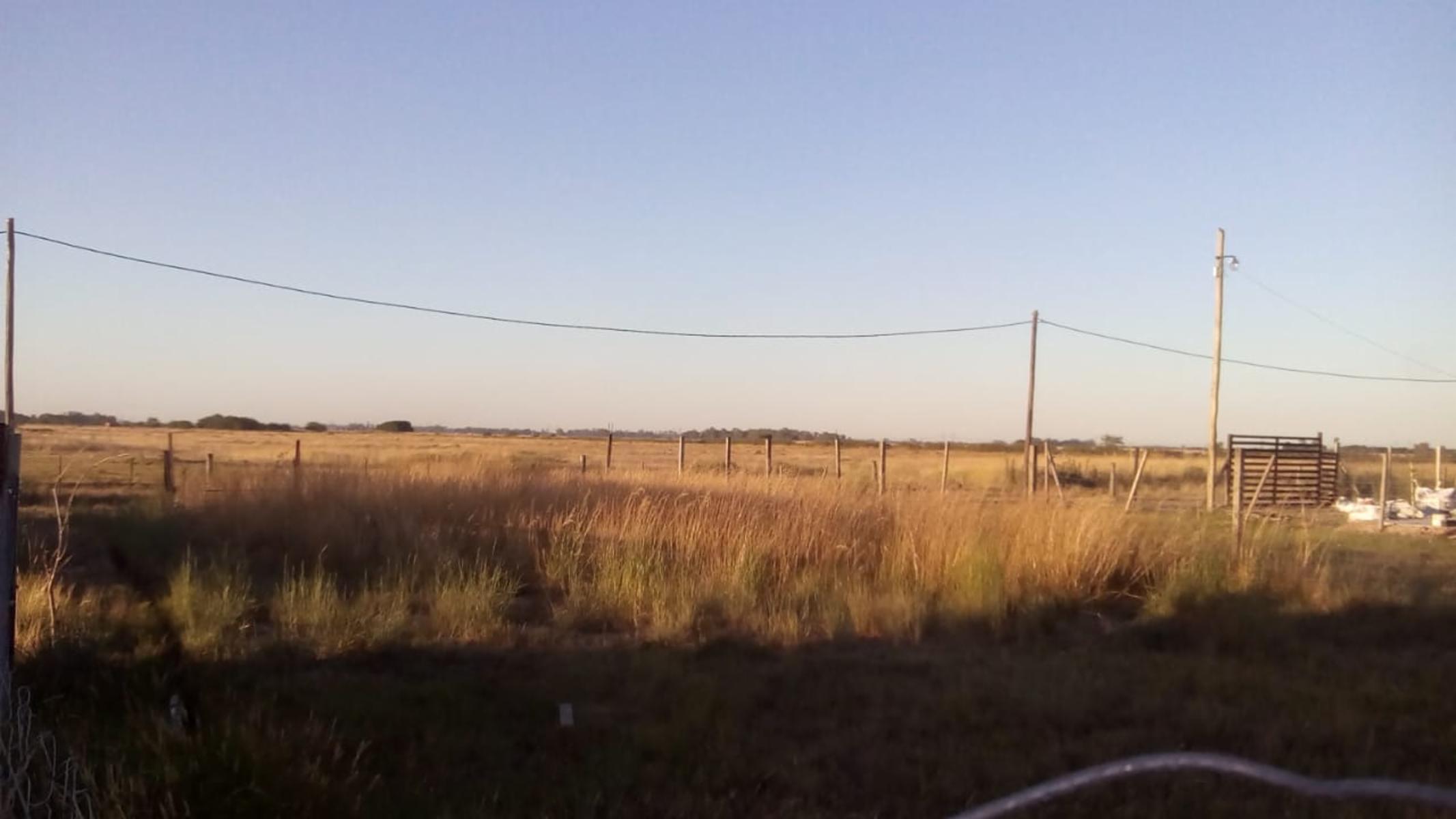Venta de lote en Alejandro Korn. Posibilidad de financiación. — foto 3
