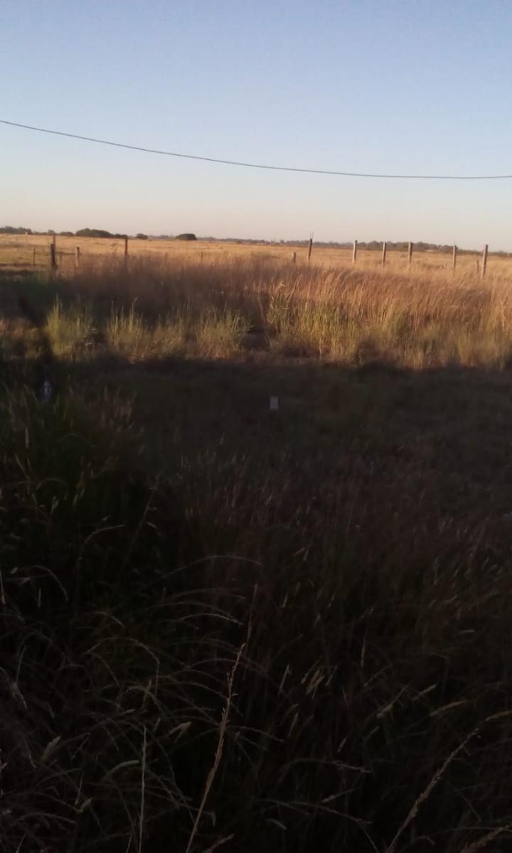 Venta de lote en Alejandro Korn. Posibilidad de financiación. — foto 4