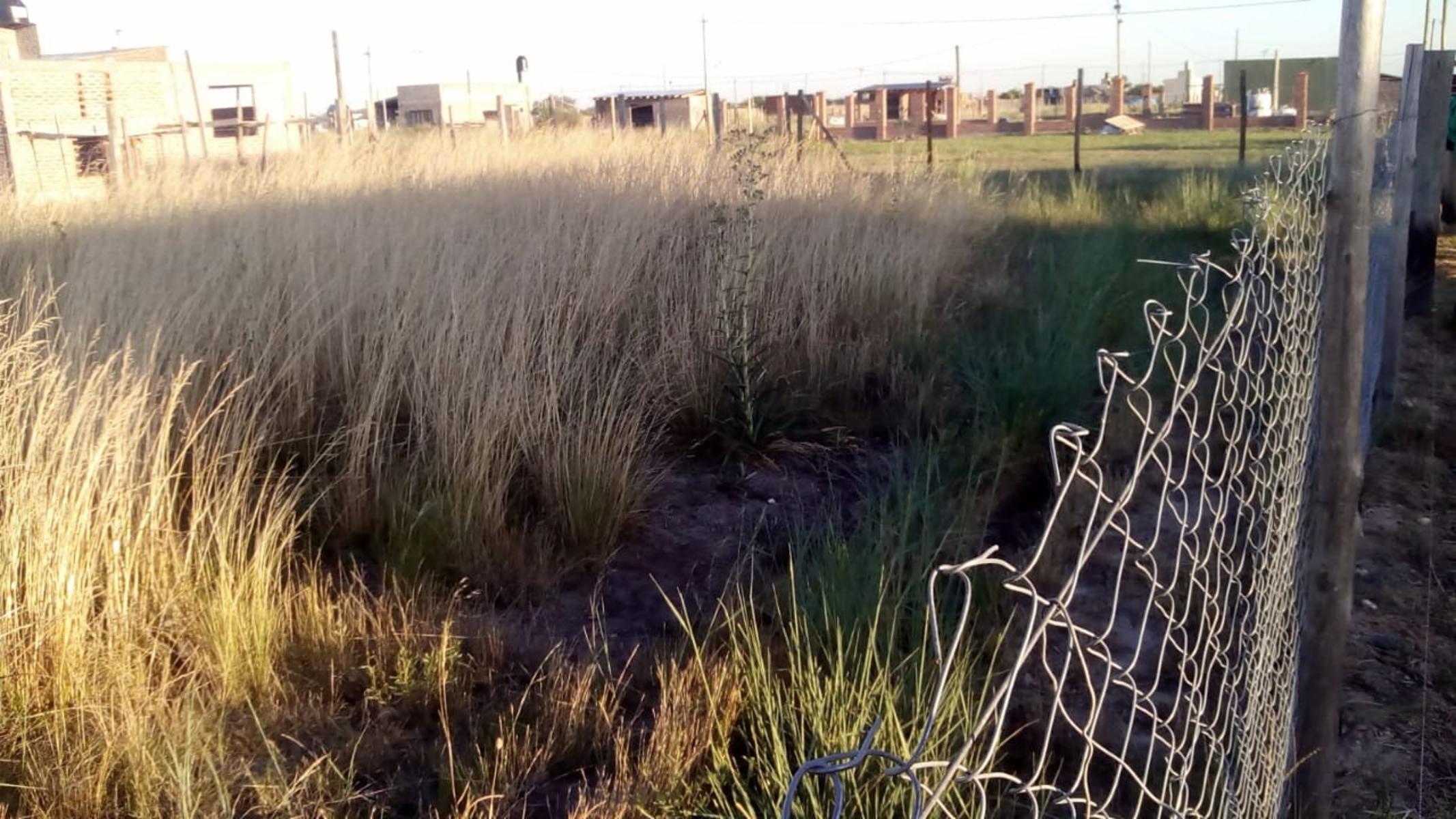 Venta de lote en Alejandro Korn. Posibilidad de financiación. — foto 5