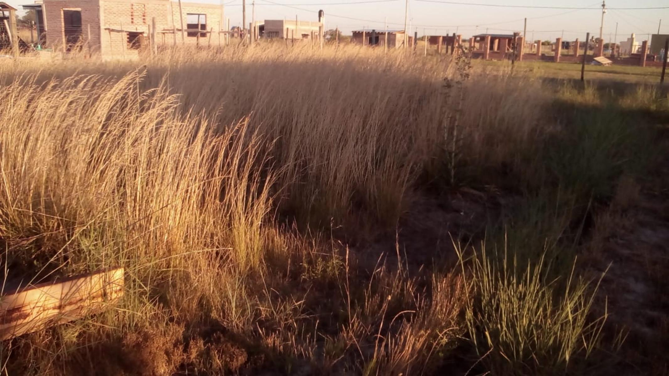 Venta de lote en Alejandro Korn. Posibilidad de financiación. — foto 6
