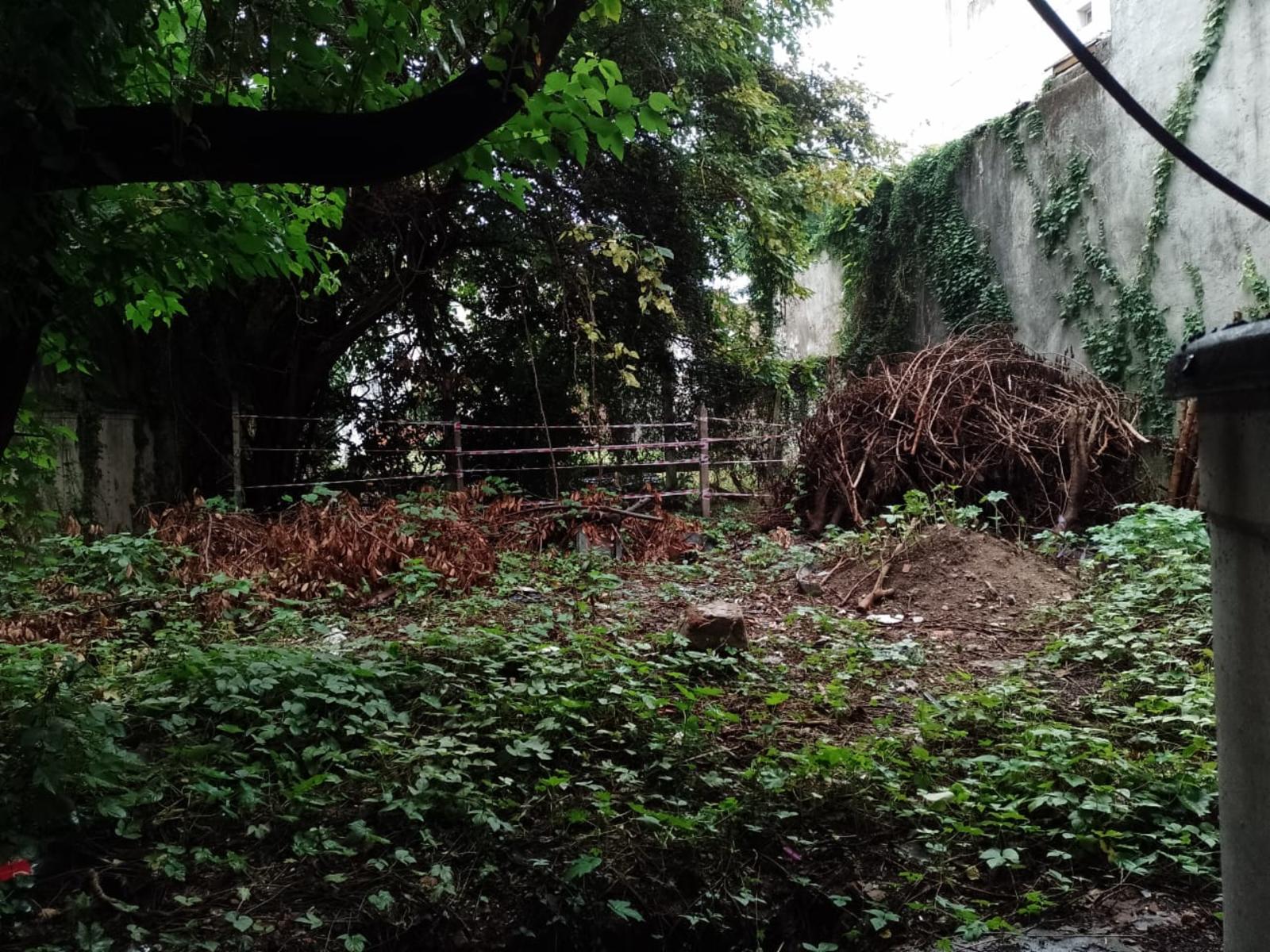 Alquiler de depósito en pleno centro de Adrogué - 1