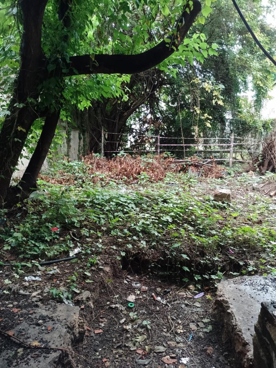 Alquiler de depósito en pleno centro de Adrogué - 2