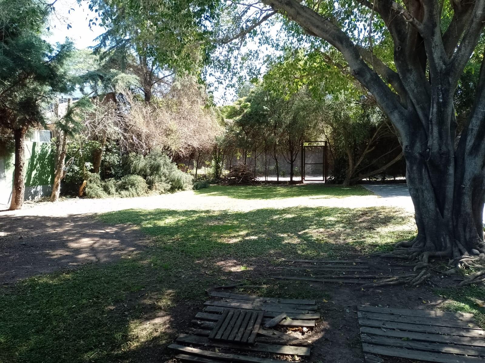 Venta de importante chalet en Adrogué — foto 5
