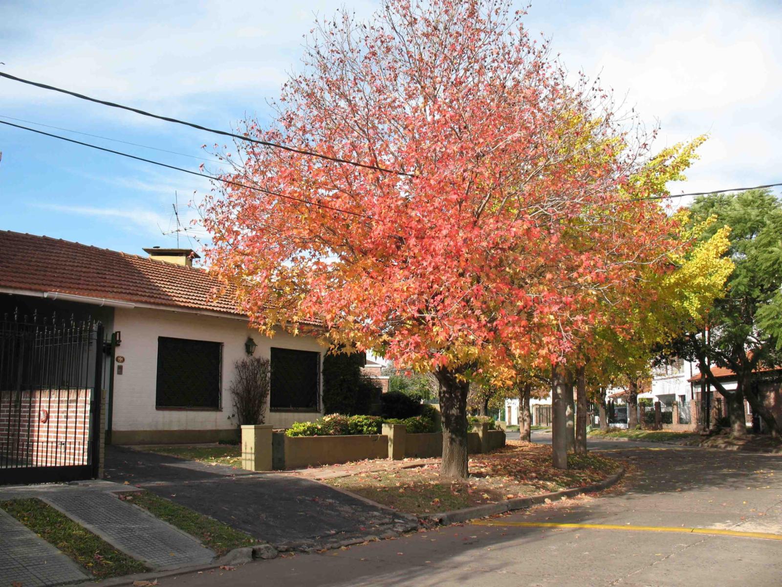 Venta de casa en zona residencial de Adrogué