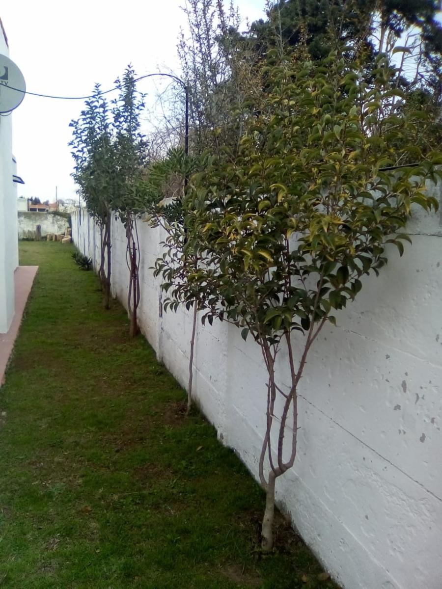 Venta de loft en ph en Brandsen - 7