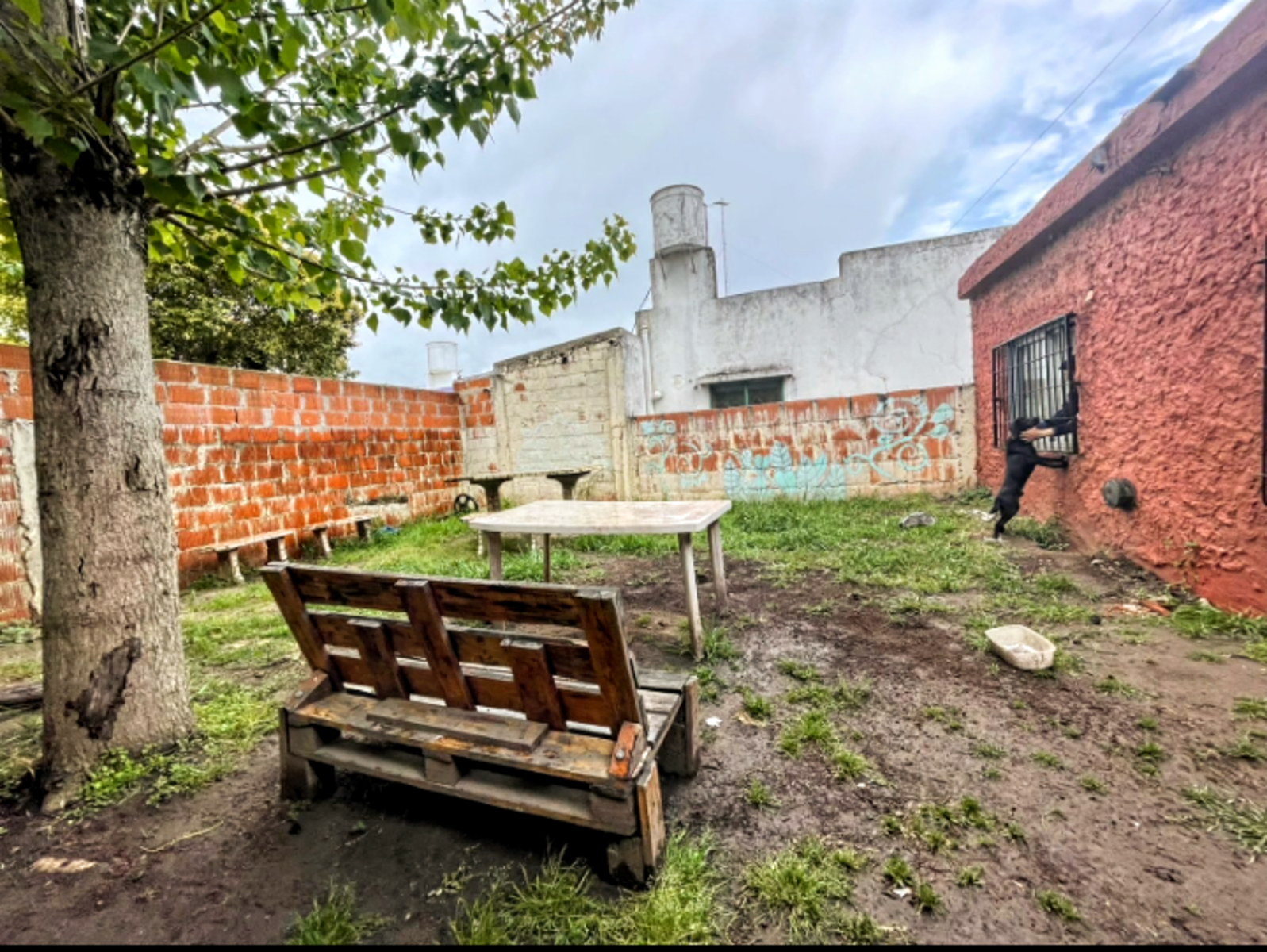 OPORTUNIDAD - CASA CON DOS DORMITORIOS CON BUEN FONDO MAS UN DEPARTAMENTO-GRAL RODRIGUEZ GENTRO — foto 6