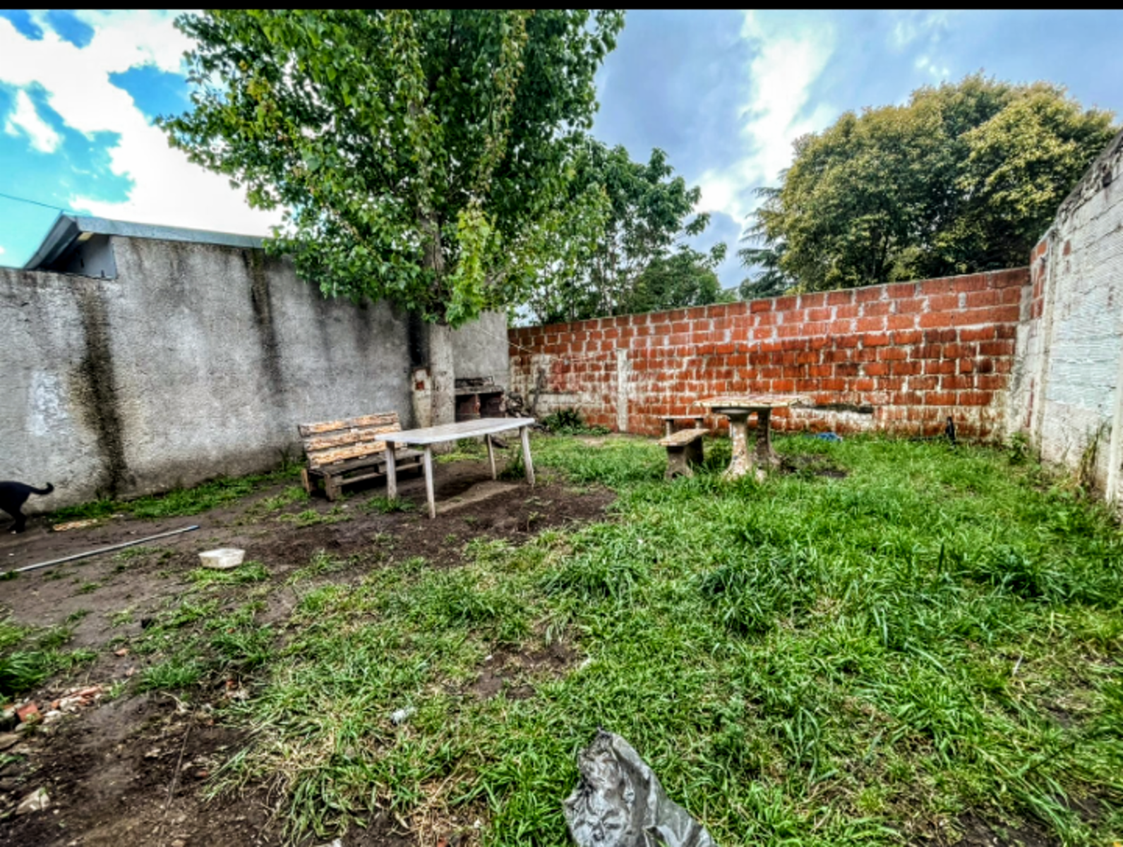 OPORTUNIDAD - CASA CON DOS DORMITORIOS CON BUEN FONDO MAS UN DEPARTAMENTO-GRAL RODRIGUEZ GENTRO — foto 8