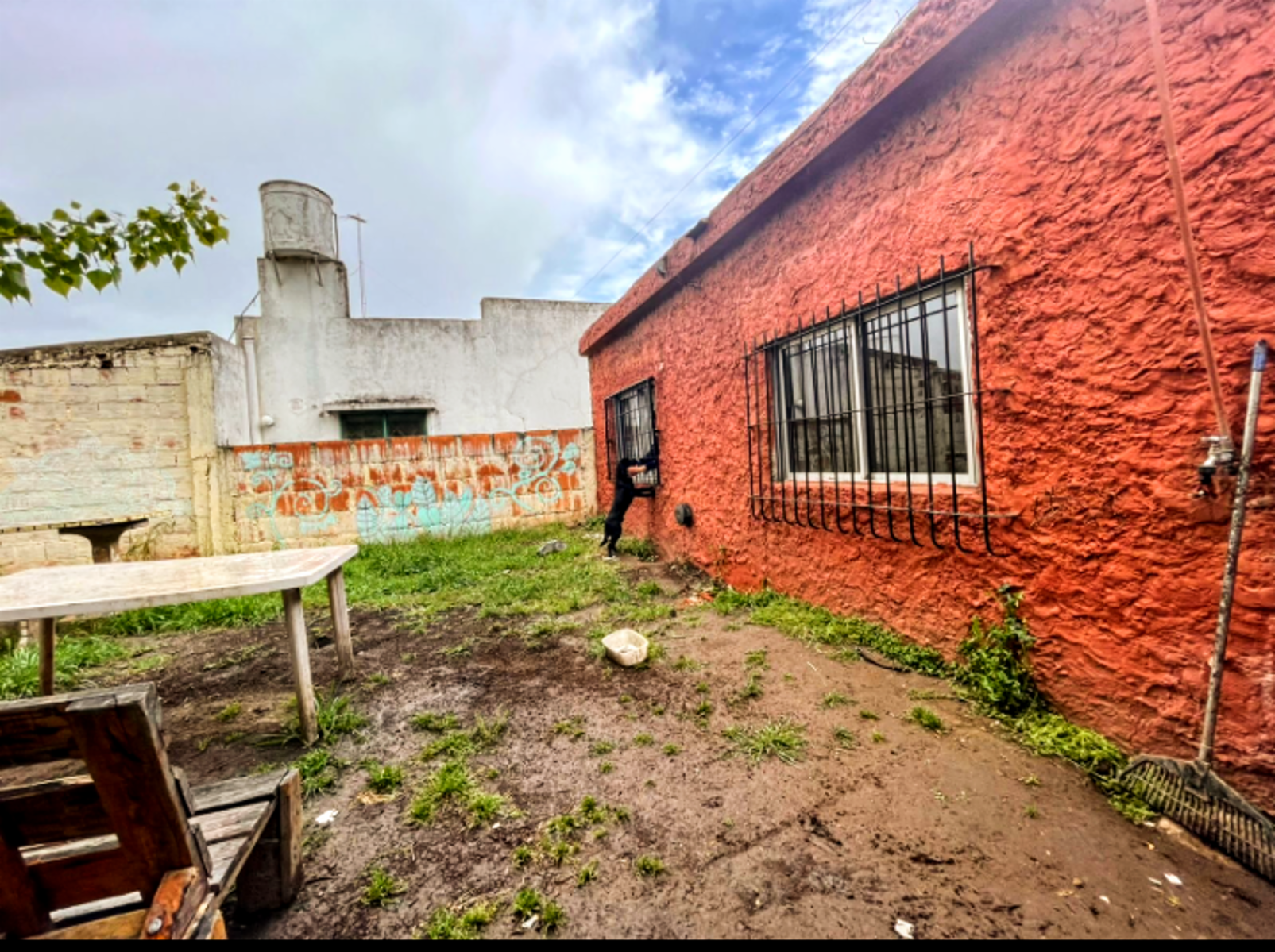 OPORTUNIDAD - CASA CON DOS DORMITORIOS CON BUEN FONDO MAS UN DEPARTAMENTO-GRAL RODRIGUEZ GENTRO — foto 9