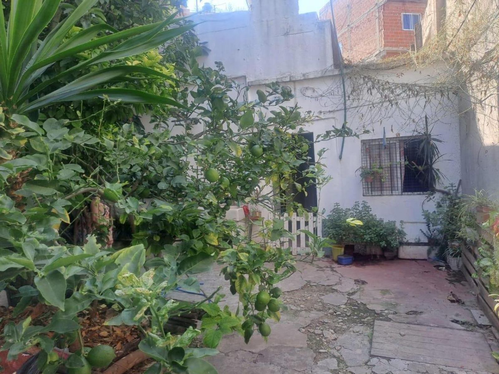 Lote Industrial E2 - Potencial Constructivo USAM | Ubicación Estratégica - 4