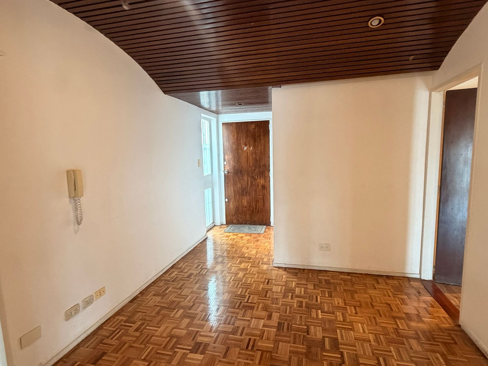 Departamento 4 ambientes súper luminoso con balcones en Tribunales - 4