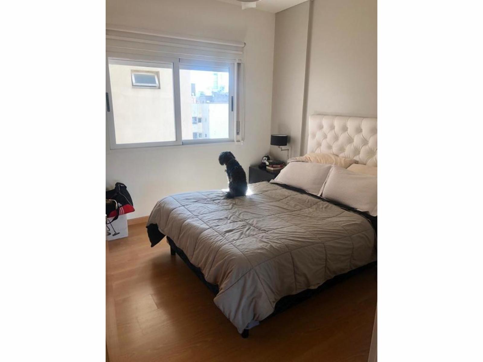 DEPARTAMENTO 2 AMBIENTES EN EXCELENTE ESTADO — foto 6