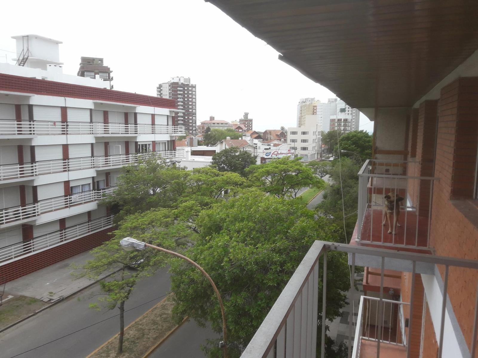 (VENTA 131) Edif. Mariana IV piso 3er - Miramar. Departamento en Venta. — foto 4