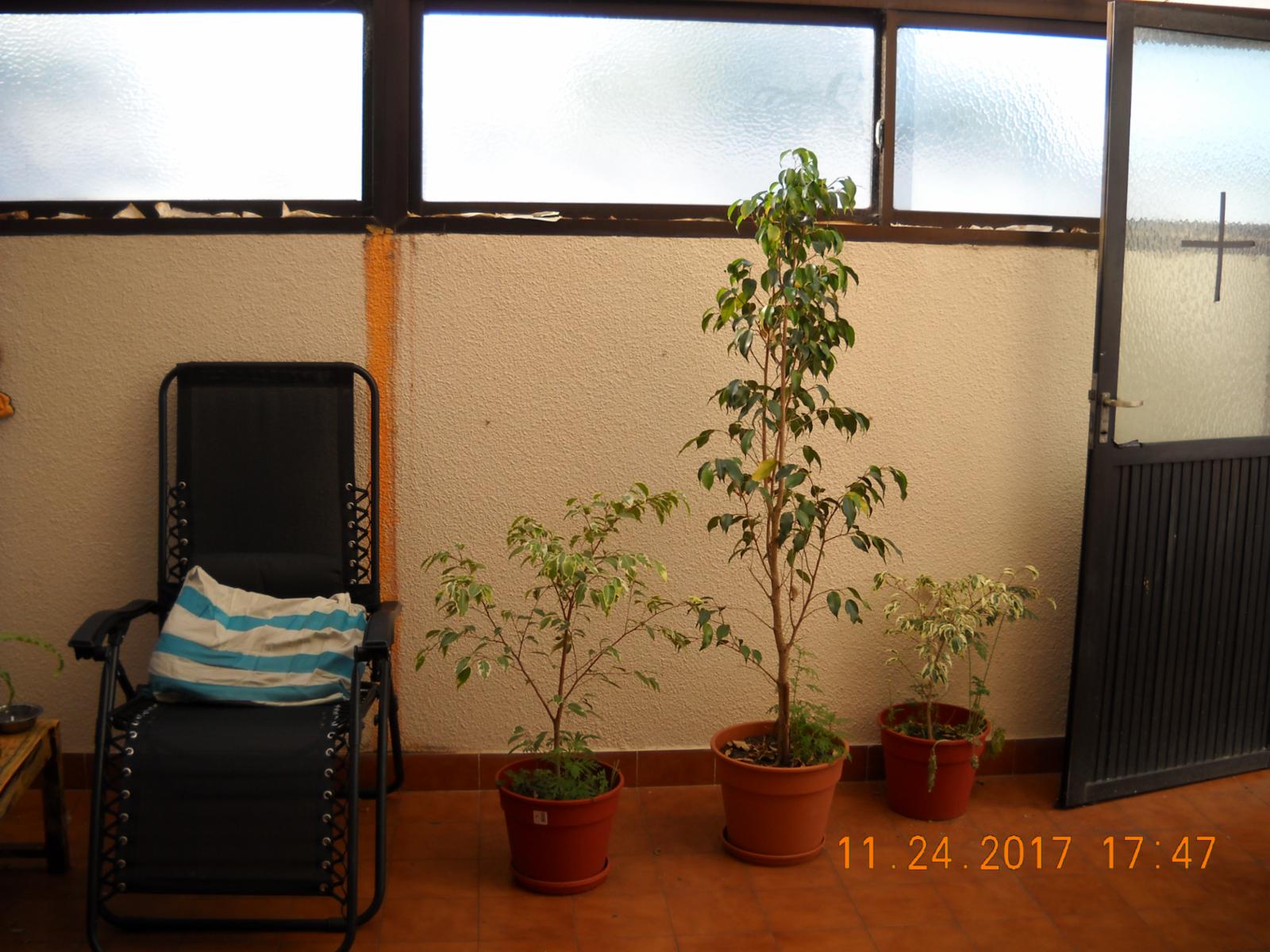 (VENTA 173) 2 Ambientes con gran patio - Miramar. Departamento en Venta. — foto 6