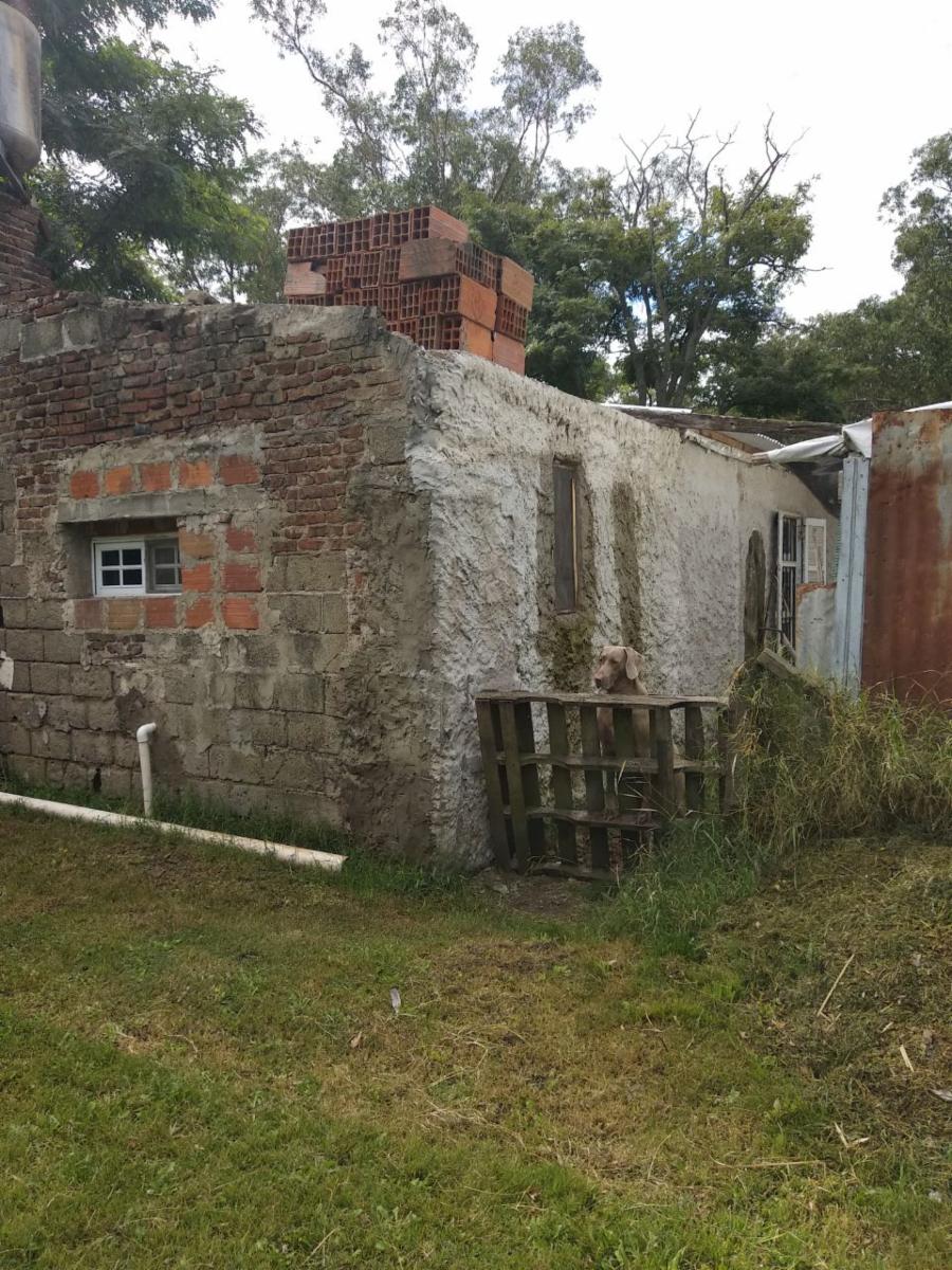 (VENTA 179) Calle 1 e/ 38 y 40 - Miramar. Casa en Venta. — foto 5