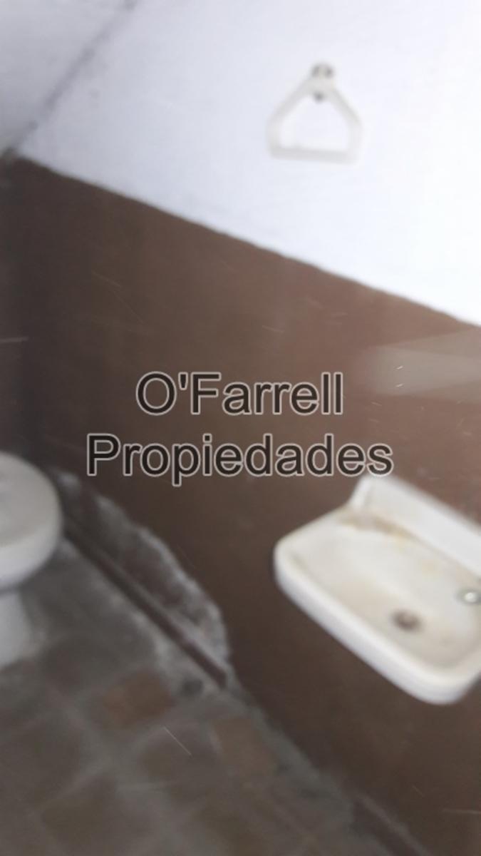 (VENTA 193) Calle 54. esq. Mitre (23) - Miramar. Galpón en Venta. - 6