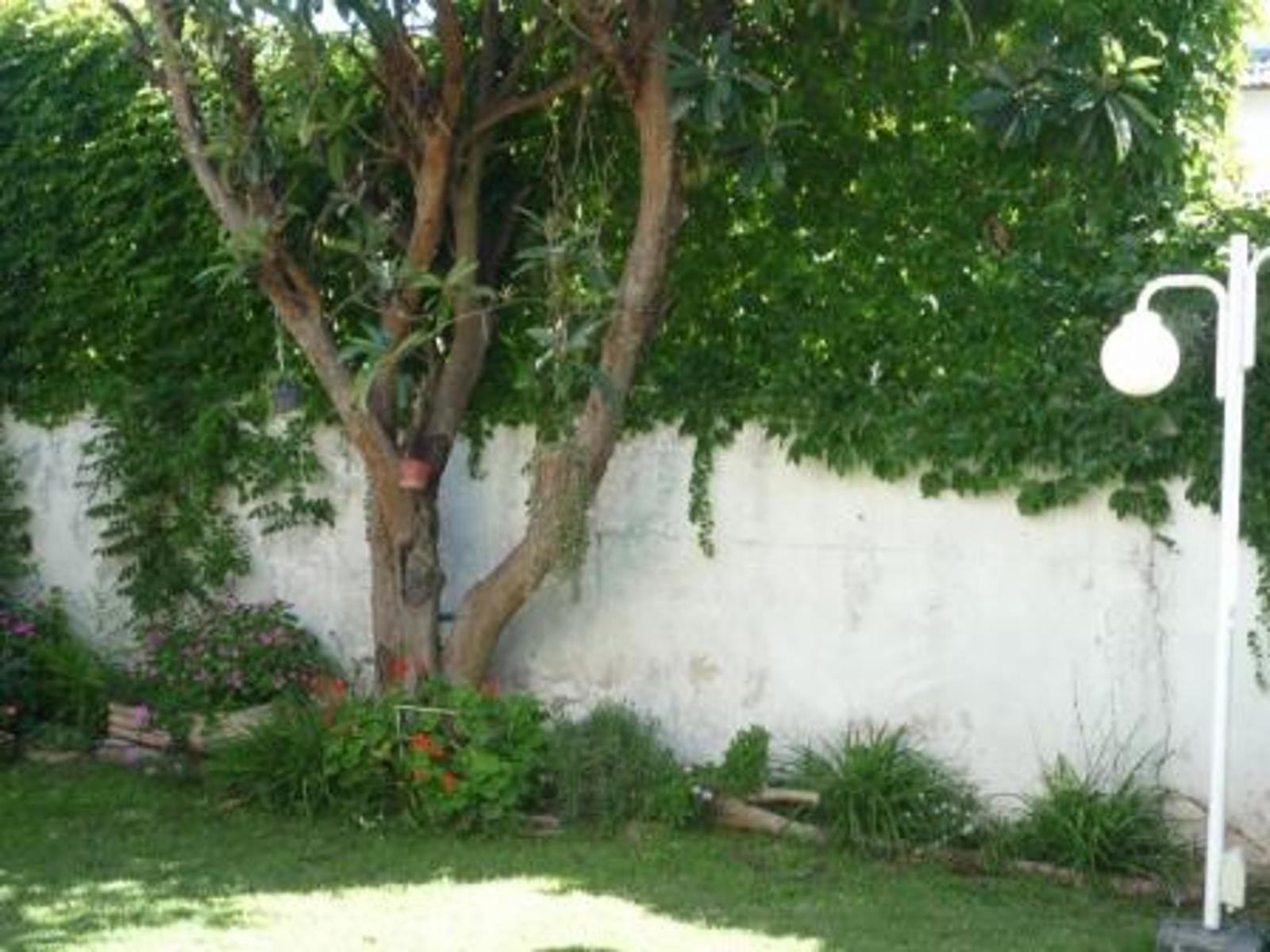 DOS DEPARTAMENTOS EN BLOCK EN PARQUE JOHNSTON. EXCELENTES JUNTOS COMO UNA SOLA VIVIENDA O SEPARADOS. — foto 14