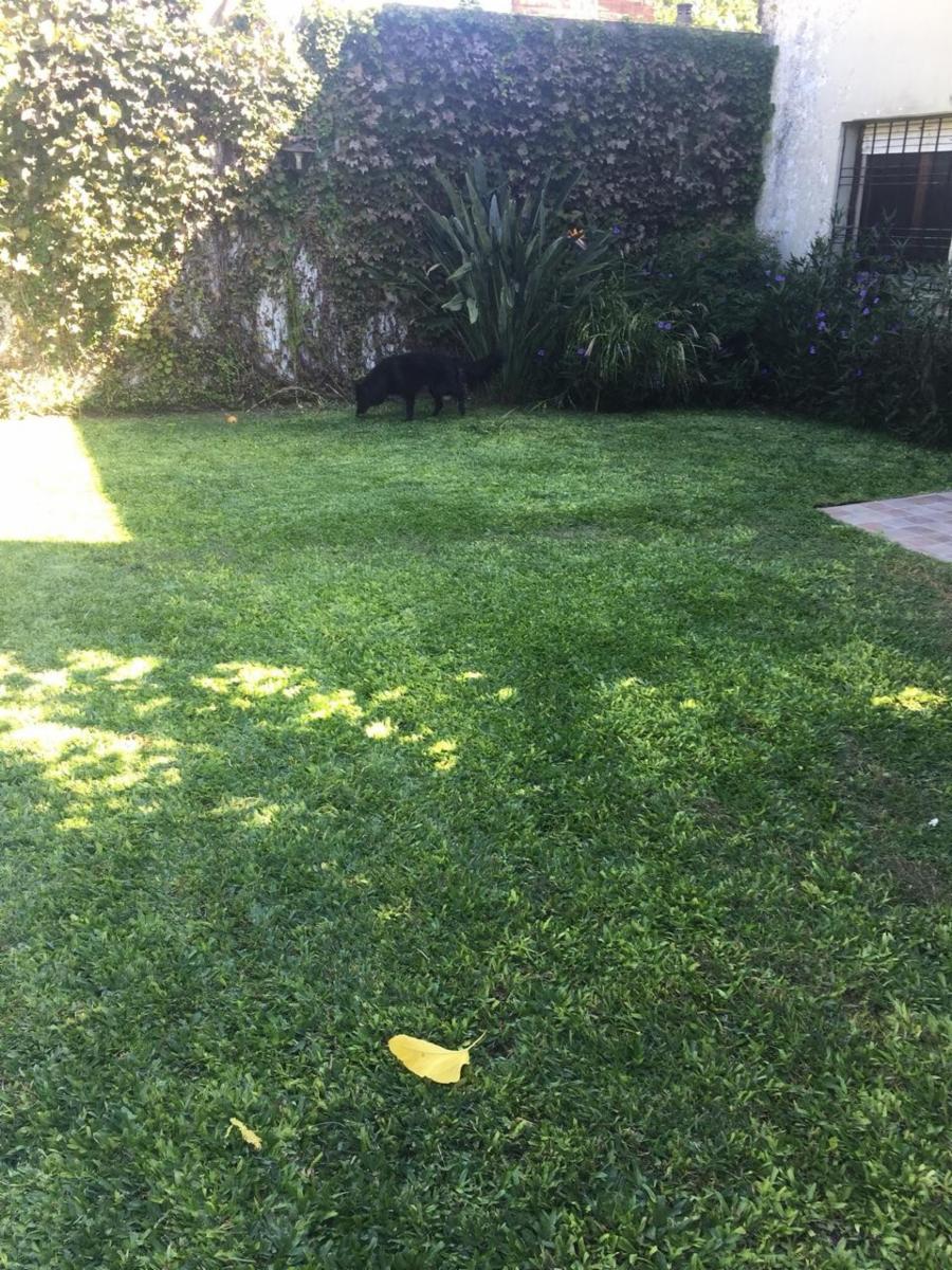 Amplia casa en dos plantas.Con piscina y fondo.Bolívar casi Argerich.Hurlingham.ACEPTA MENOR VALOR — foto 7