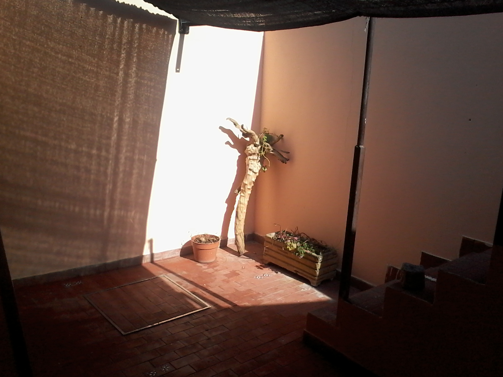 PH 2 AMBIENTES CON PATIO EN PLANTA BAJA CON ESOACIO AEREO PROPIO, APTO CRÉDITO — foto 2