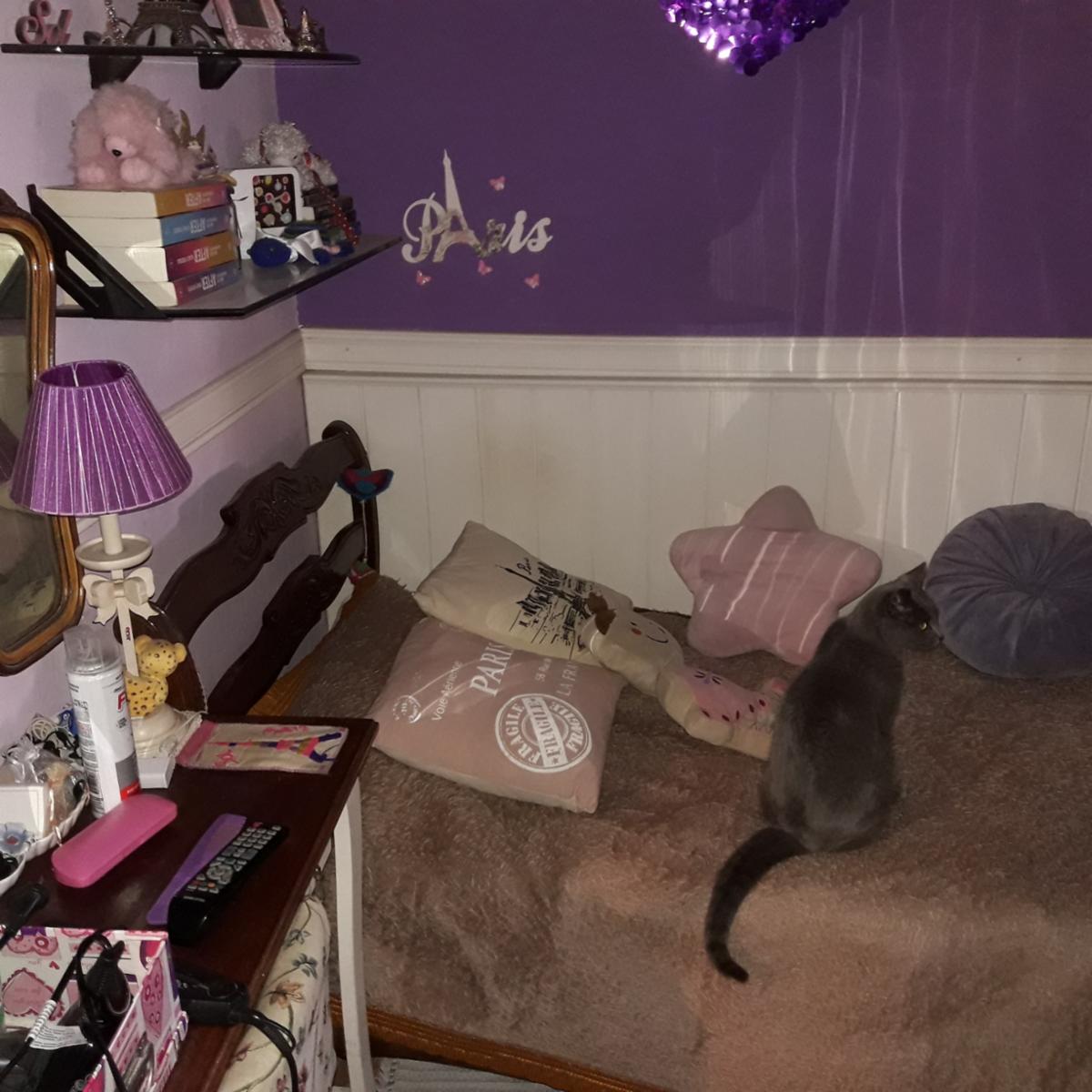 EXCELENTE PROPIEDAD DE 4 AMBIENTES, OPORTUNIDAD — foto 11