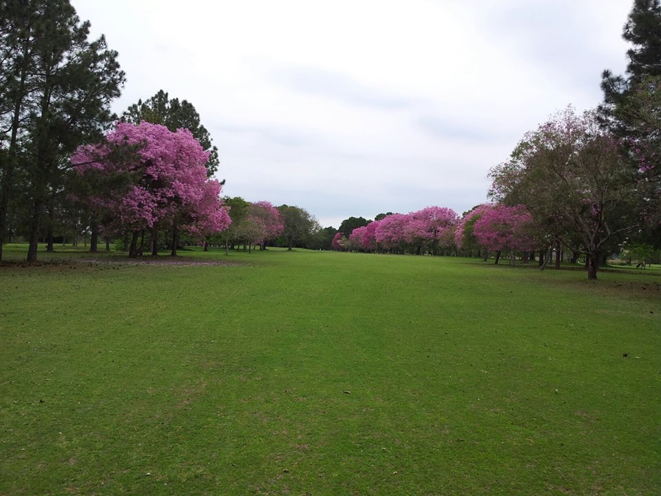 RC-Alquila CASA-CHALET-B° GOLF CLUB-Corrientes - 1