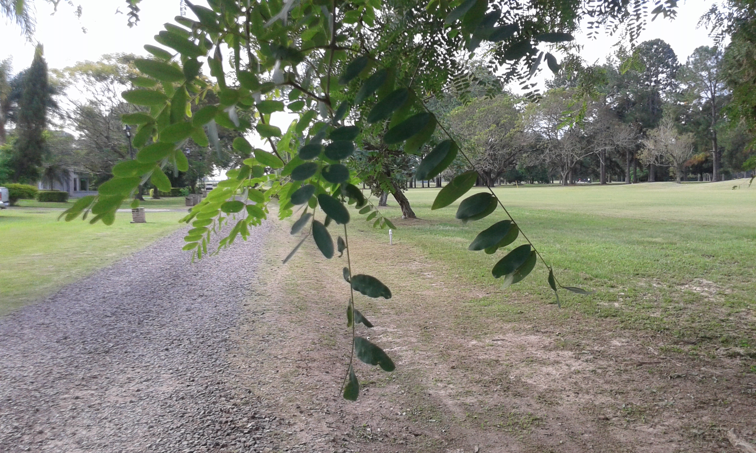 RC-Alquila CASA-CHALET-B° GOLF CLUB-Corrientes - 4