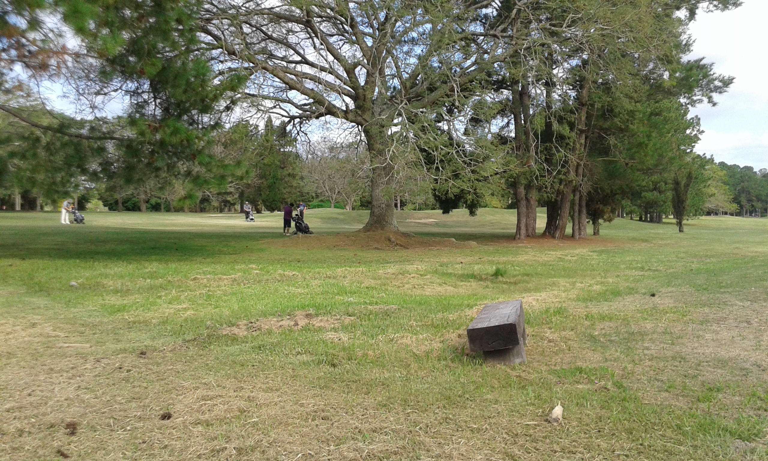 RC-Alquila CASA-CHALET-B° GOLF CLUB-Corrientes - 6