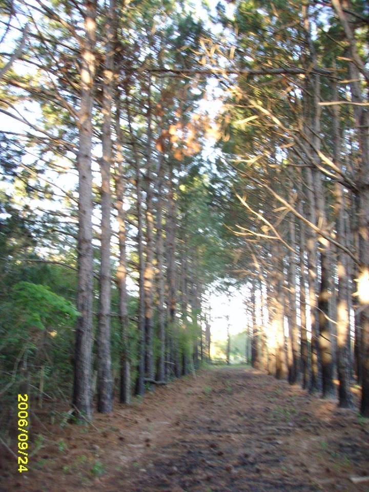 RC-Vende Unico lote frente a reserva ecológica en Santa Ana Corrientes - 2