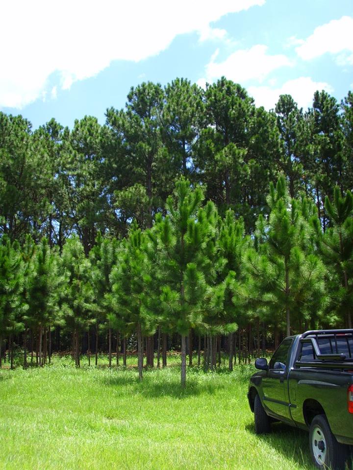 RC-Vende Unico lote frente a reserva ecológica en Santa Ana Corrientes - 3
